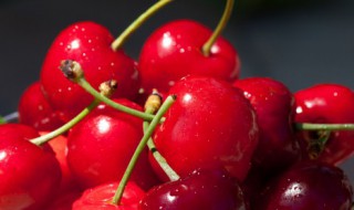 黑樱桃是车厘子吗 黑樱桃是车厘子吗为什么