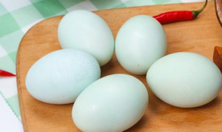 海鸭蛋和普通鸭蛋的区别是什么（海鸭蛋和鸭蛋的区别在哪）