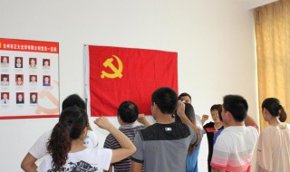 预备党员政治面貌怎么填（预备党员政治面貌怎么填只有党员和团员的选项）