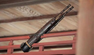 世界上最早使用自由簧的乐器是什么 世界上最早使用簧片的乐器