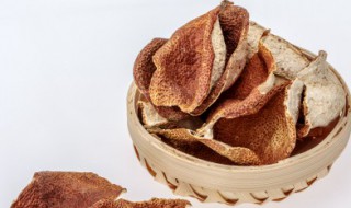 新会陈皮的介绍及特点特征 新会陈皮知识