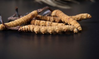 青海特产有什么特产 青海有哪些特产?