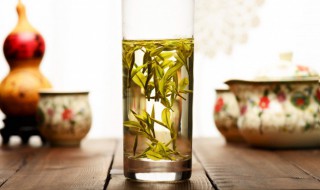 绿茶的采摘时间（绿茶的采摘时间和方法）