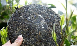 普洱生茶保存（普洱生茶保存用套保鲜袋吗）