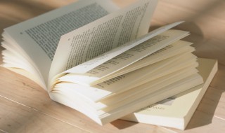 己卯岁除的意思（己卯岁是什么意思）