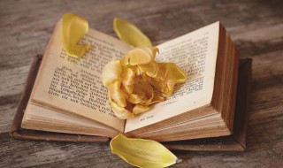 体仁沐德是什么意思