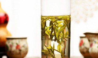 贡眉怎么泡 老树贡眉怎么泡