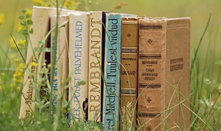 莫踬于山而踬于垤的意思 莫踬于山,而踬于垤