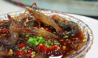 腌制醉虾用什么虾 腌制醉虾用什么虾好吃