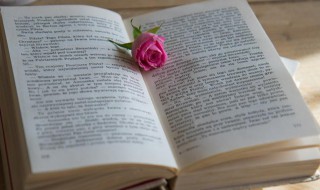 穷当益坚的意思（穷当益坚的意思解释）