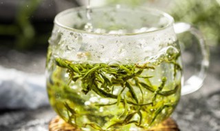 金银花茶怎么泡 金银花茶怎么泡水喝最好