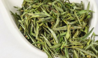 广东大叶青功效 大青叶的功效