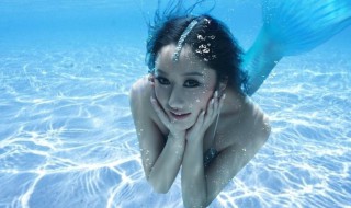 美人鱼的学名叫什么（请问美人鱼的学名叫什么）