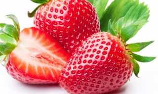 安徽名优特产水果是什么 以下安徽名优特产水果是什么