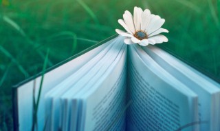 行远自迩登高自卑的意思 行远自迩登高自卑什么意思