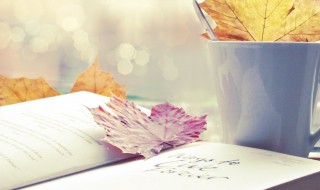 风华正茂下一句是什么意思 风华正茂下一句怎么说