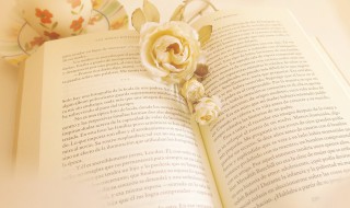 以管窥天以蠡测海的意思 以管窥天以蠡测海的意思是