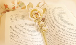 一着不慎满盘皆输的意思 一着不慎满盘皆输