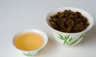 芽孢茶属于什么茶（野生芽孢茶属于什么茶）