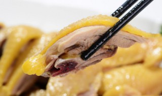 豆豉蒸鸡肉的做法（豆豉蒸鸡肉的做法大全）