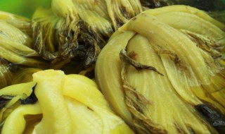 酸菜炒鸡胗的做法（酸菜炒鸡胗图片）