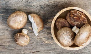 香菇菜心怎么做好吃（香菇菜心怎么做好吃窍门）