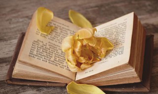 考cisp证书需要哪些条件（cisp怎么考）