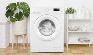 海尔洗衣机显示ed是什么意思啊（海尔洗衣机显示ed怎么回事）