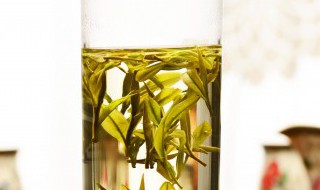 教你如何泡好一杯白茶 教你如何泡好一杯白茶视频