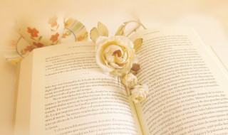 无源之水无本之木的意思（无源之水无本之木的意思是）