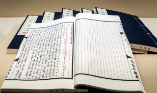 哑子寻梦的意思（哑子得梦事难言）