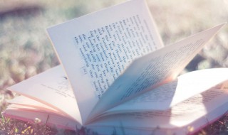 心急如焚的焚是什么意思啊 心急如焚的焚字是什么意思