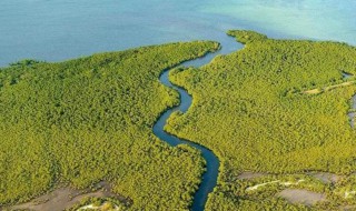 世界上最大的三角洲是什么 世界上最大的三角洲是什么洲