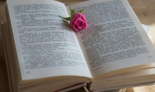 宁为太平犬莫作乱离人的意思（宁为太平犬 莫作乱世人）