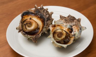 海螺肉怎么炒好吃（海螺肉怎么炒好吃入味）