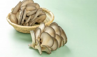 蘑菇菌种自己怎么培养（蘑菇菌种自己怎么培养怎么买）