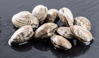 爆炒花甲怎么做好吃 爆炒花甲怎么做好吃又简单