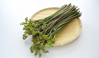 蕨菜炒腊肉怎么做好吃 蕨菜炒腊肉怎么做好吃简单