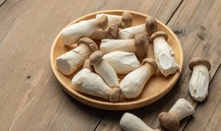 杏鲍菇烧鲶鱼怎么做 杏鲍菇烧鲶鱼怎么做好吃