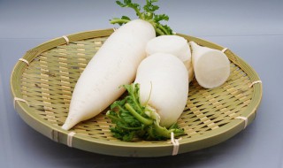 白萝卜怎么腌好吃（朝鲜族小白萝卜怎么腌好吃）