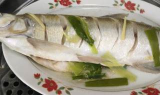 翘嘴怎么做好吃 红尾翘嘴怎么做好吃