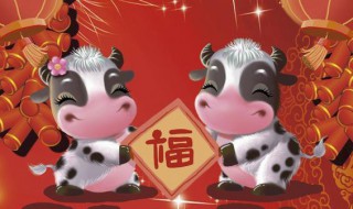 1985属什么 1985属什么生肖 今年多大了