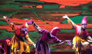 描述胡腾舞的诗句是什么（描述胡腾舞的诗句是什么意思）