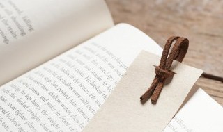 谳议的意思（诌议的意思）