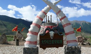 大月氏怎么读（大月氏怎么读才是正确的）