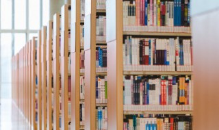 朶怎么读（朶怎么读拼音）