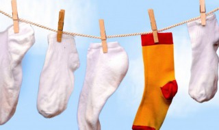 shorts怎么读（skirt怎么读）