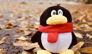 怎么看手机号绑定了几个qq 怎么看手机号绑定了几个qq号