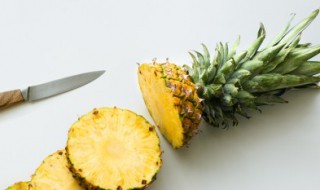 菠萝上的绿叶怎么载种 菠萝上面的绿叶能栽活吗