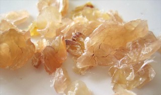 雪蛤怎么做 雪蛤怎么做好吃又简单